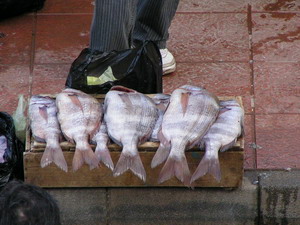 08 Mercado Benzu 06.03.05.jpg